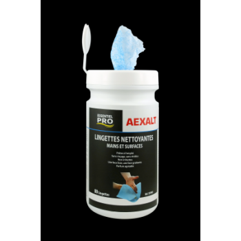  Lingettes mains et surfaces - 