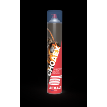  Insecticide gupes frelons - 1 