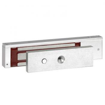 Ventouse Premium 300kg - pour 
