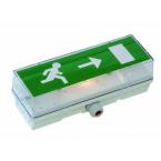  Bloc vacuation STD - Incandes 
