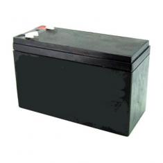  Batterie rechargeable 12 Volts 