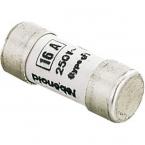  Fusible domestique 10,3x25,8 1 