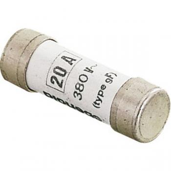  Fusible domestique 8,5x31,5 20 