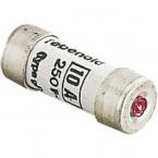  Fusible domestique 8,5x23 10A 