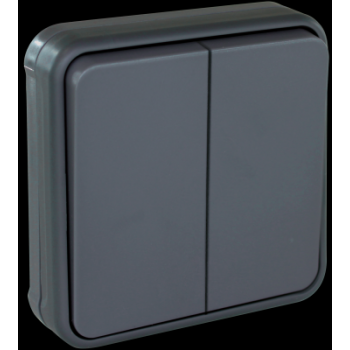  OXXO dble VV GRIS ENCASTRE IP5 