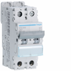  Disjoncteur 63A 2P 6-10kA Cour 