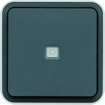  Bouton poussoir 1F  voyant t 