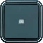  Bouton poussoir 1F voyant tmo 