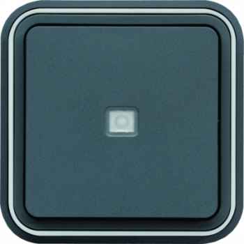  Bouton poussoir 1F voyant tmo 
