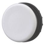  Obturateur, gris, indice de pr 