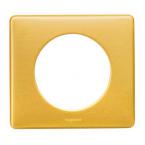  Plaque Cliane Mtal 1 poste - 