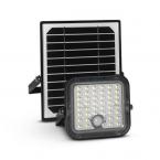  SEDUM PROJECTEUR SOLAIRE 10W 3 