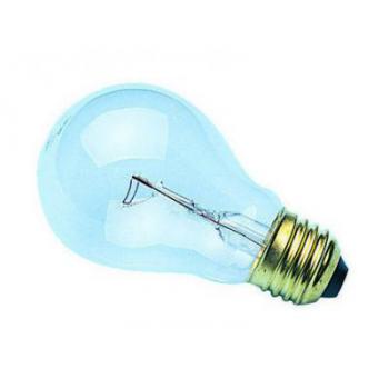  E27 STD.CL 230V 60W RENF 