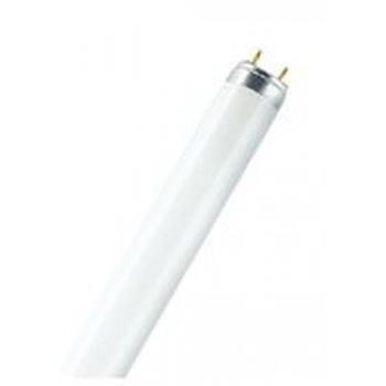  OSRAM Tube Fluo Fluora T8 18W/ 