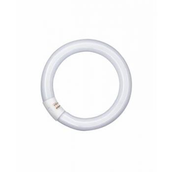  T9 Lumilux circulaire 40W/840 