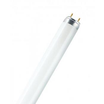  OSRAM Tube Fluo Lumilux T8 36W 
