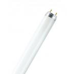  OSRAM Tube Fluo Lumilux T8 36W 