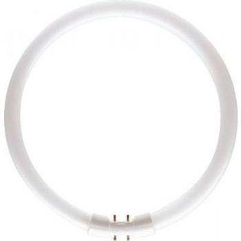  MASTER TL5 Circular 22W/840 