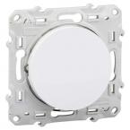  ODACE POUS LUM BLC VIS 